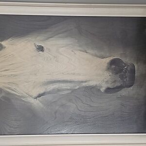 Meet your Posher, Traci